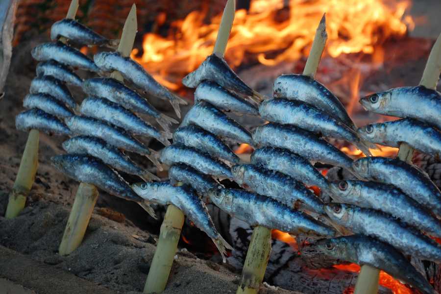 El reclamo gastronómico de Málaga | Retlife