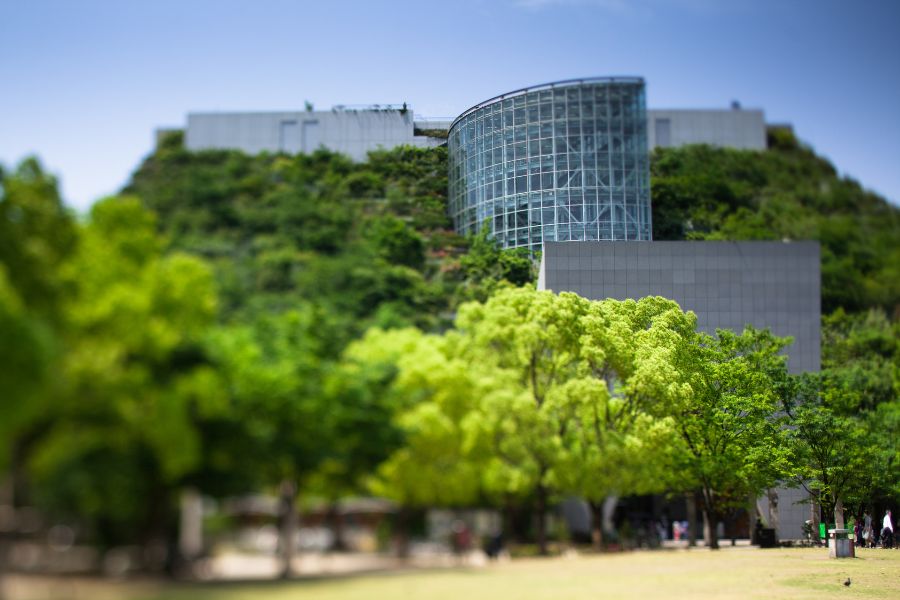 Zonas verdes en Centro Comercial